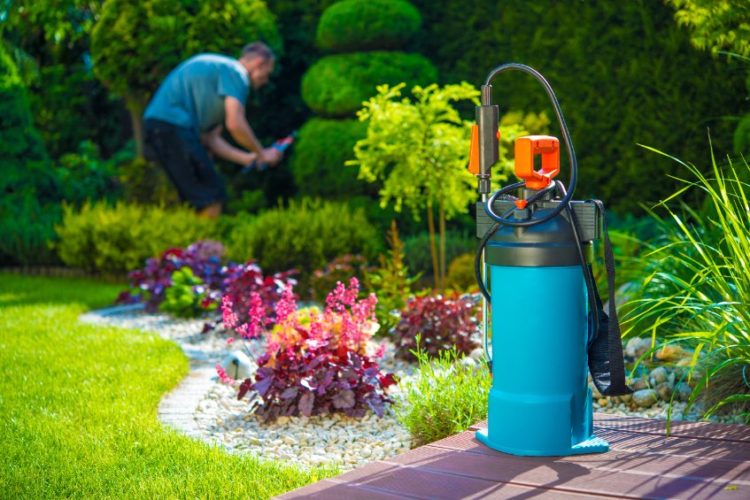 spray pesticides to control pests on lawn