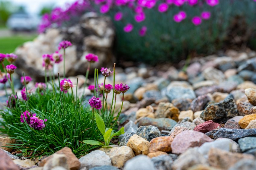 how to prevent weeds from growing in the flower bed
