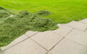 are grass clippings good for your lawn