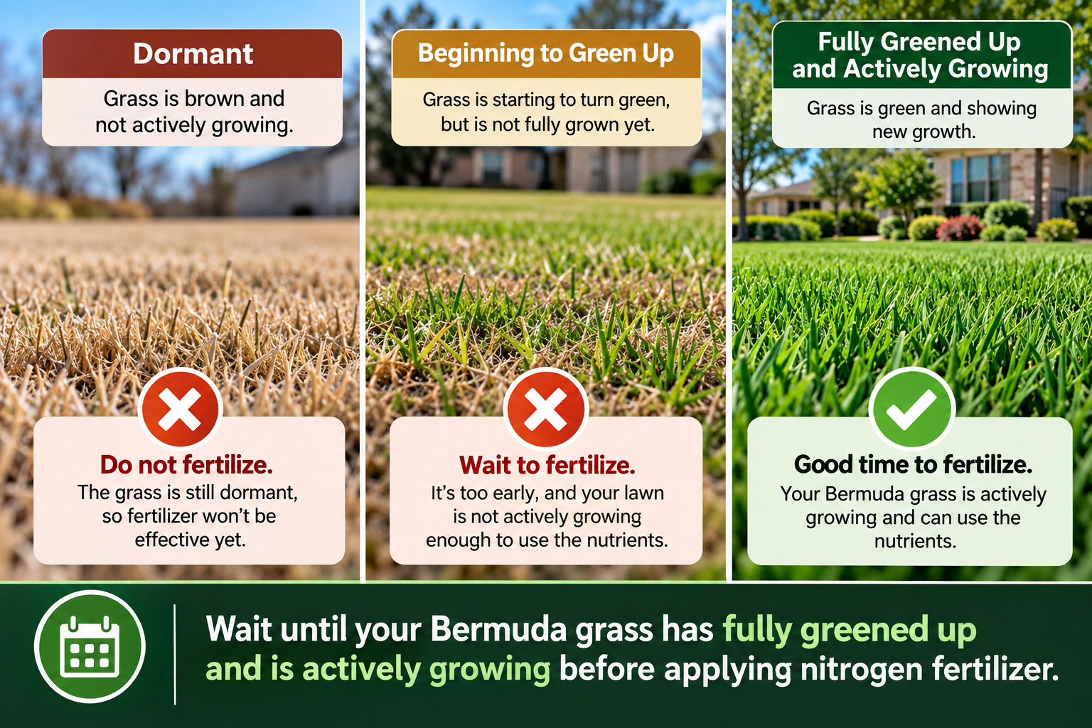 let grass green up